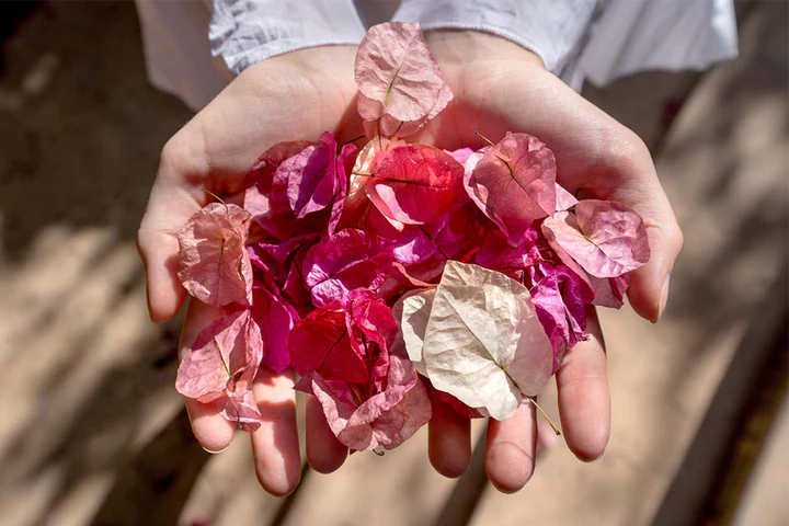 Lente Tamron E Mount 17-28mm F/2.8 Di III RXD - Modelo A046