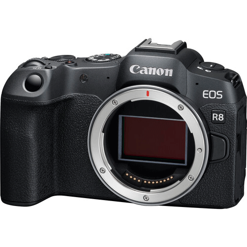 Cámara Canon Mirrorless - EOS R8 (solo cuerpo)
